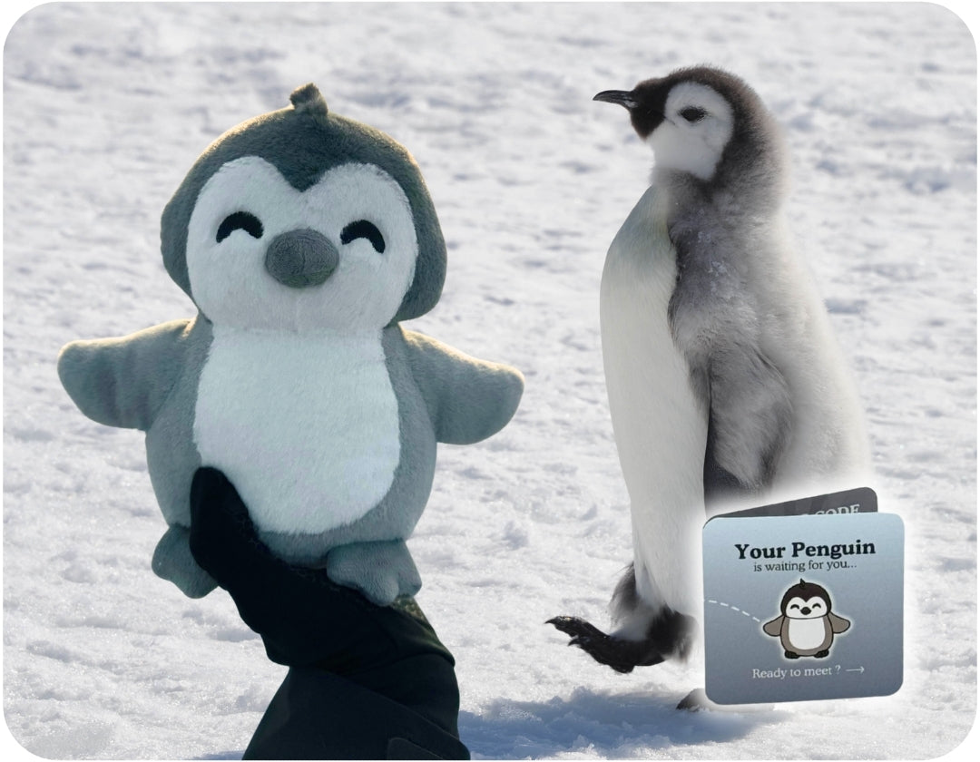 Penguin Plushie