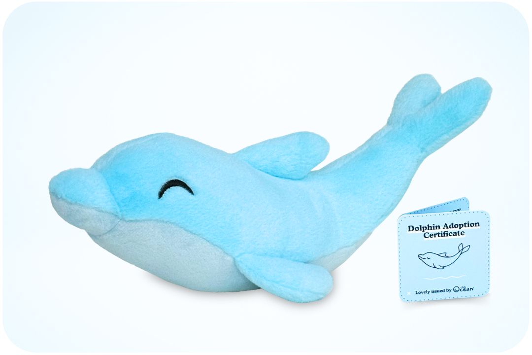 Peluche « Adoption d'un dauphin »