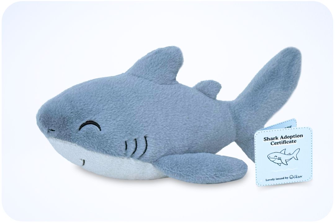 Peluche « Adoption d'un requin »