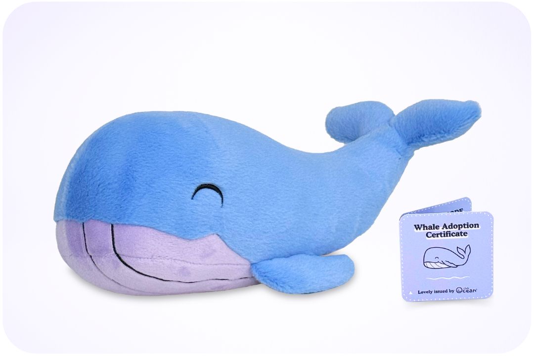 Peluche « Adoption d'une baleine »