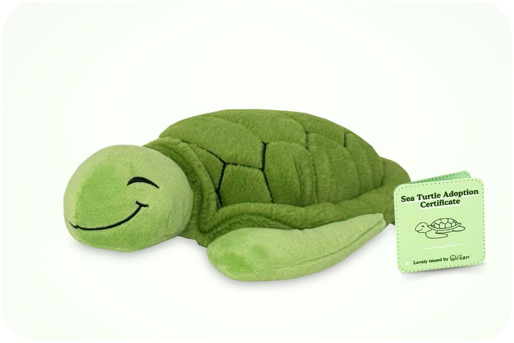Peluche « Adoption d'une tortue »