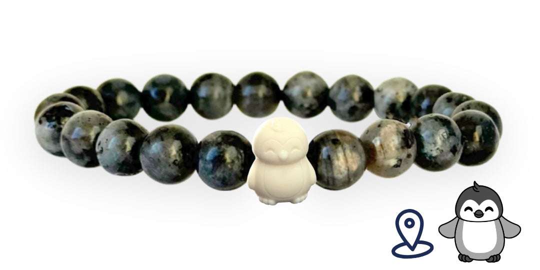 Bracelet Pingouin Suivi