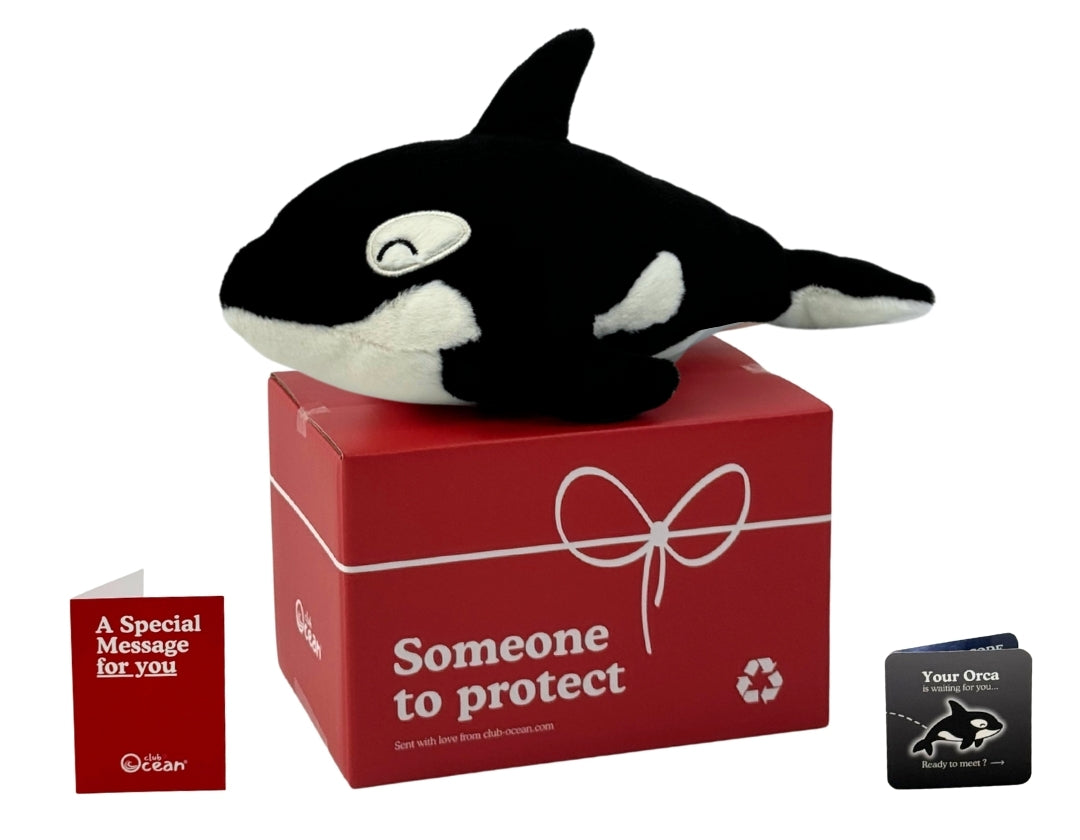 Orca Plushie