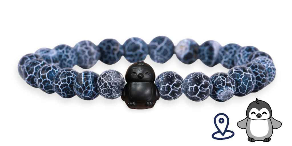 Bracelet Pingouin Suivi