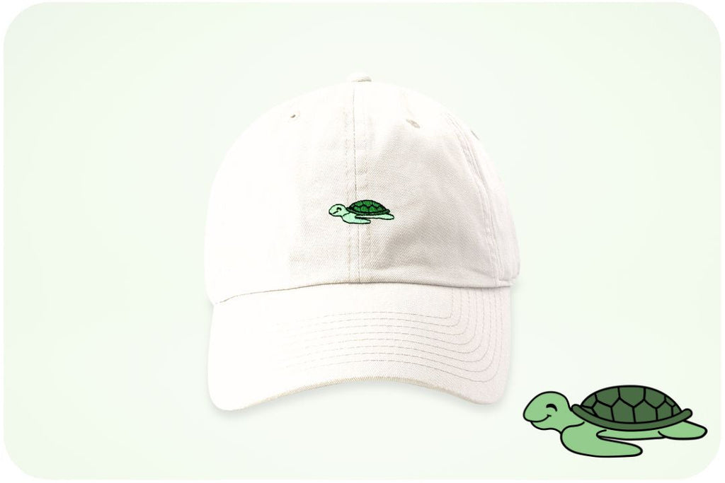 Casquette adoption tortues