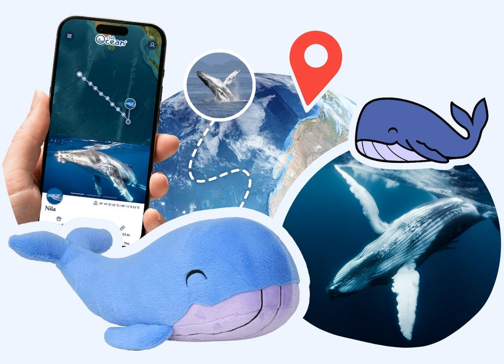 Peluche « Adoption d'une baleine »