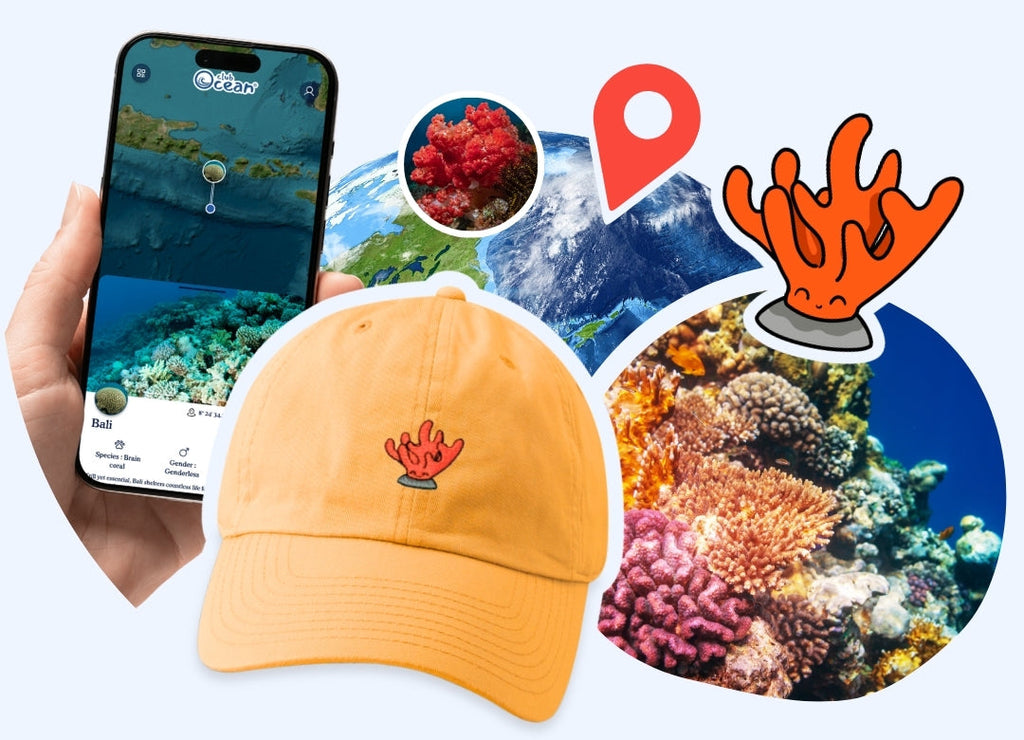 Casquette adoption corail