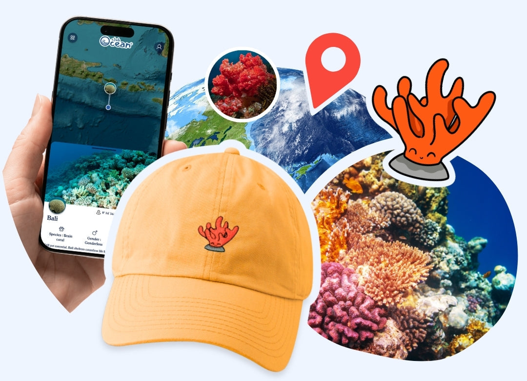 Casquette adoption corail