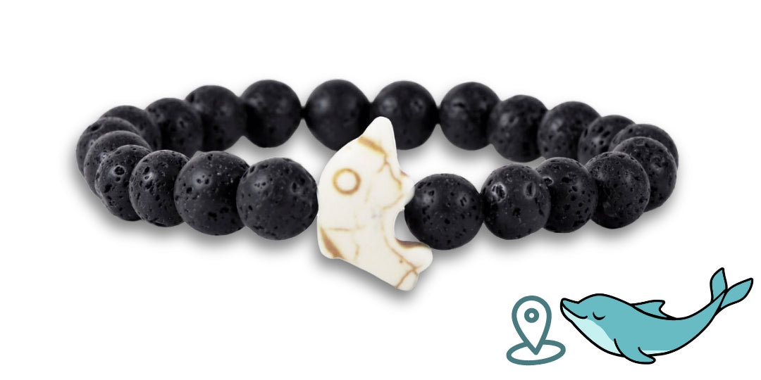 Bracelet de suivi dauphins