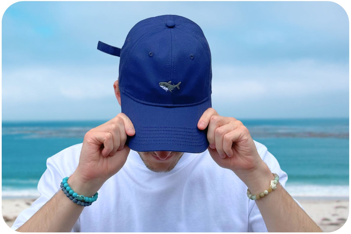 Casquette adoption requin