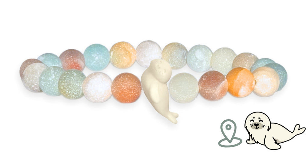Bracelet Suivi Phoque