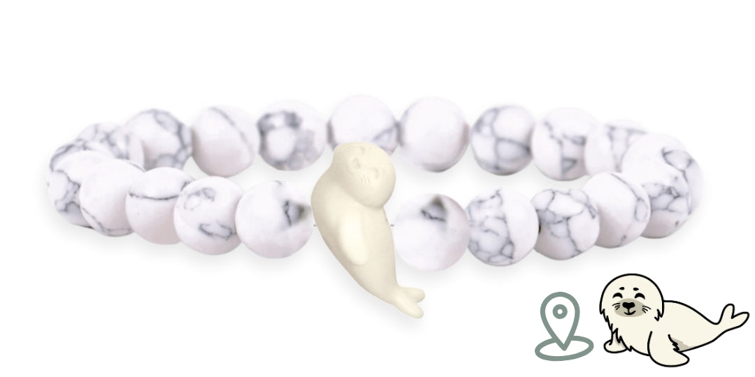 Bracelet Suivi Phoque