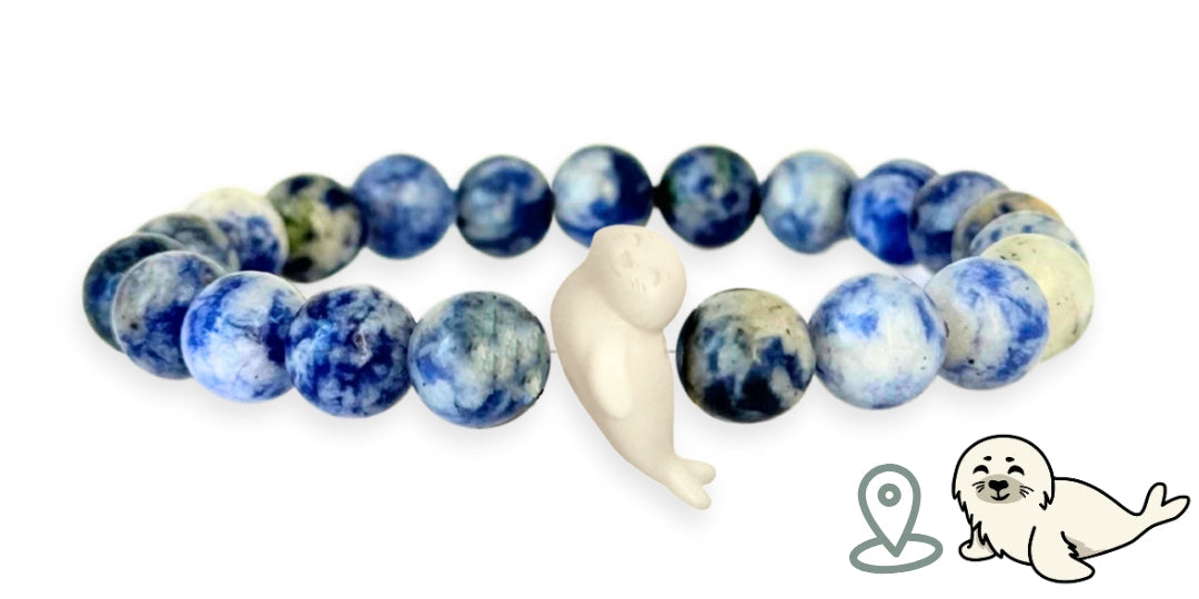 Bracelet Suivi Phoque