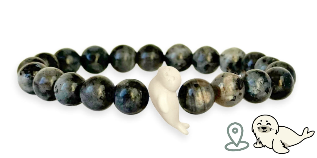 Bracelet Suivi Phoque