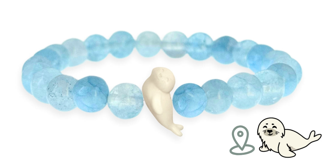 Bracelet Suivi Phoque