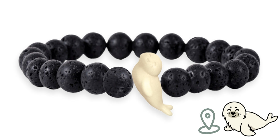 Bracelet Suivi Phoque