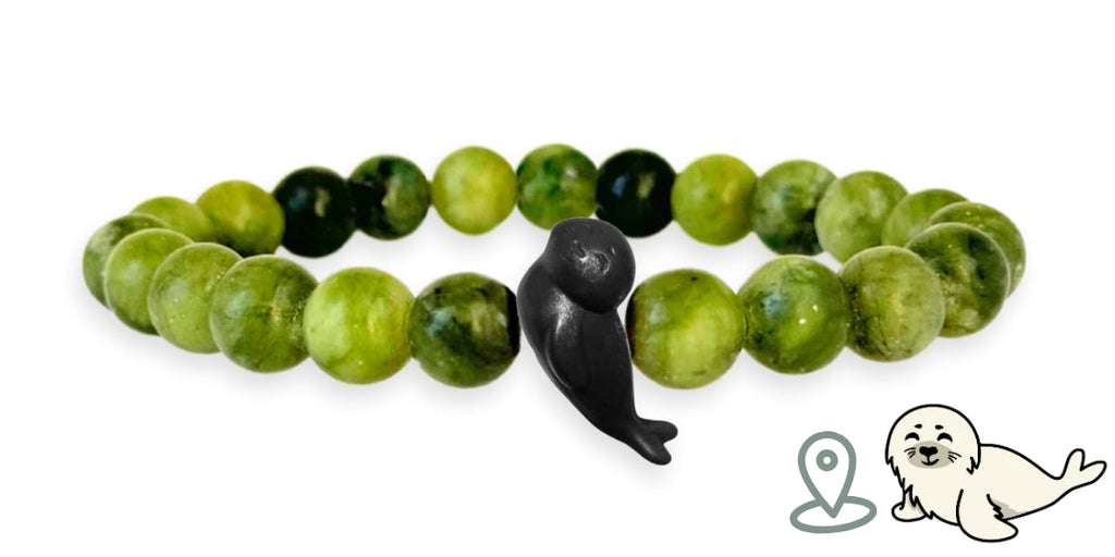 Bracelet Suivi Phoque
