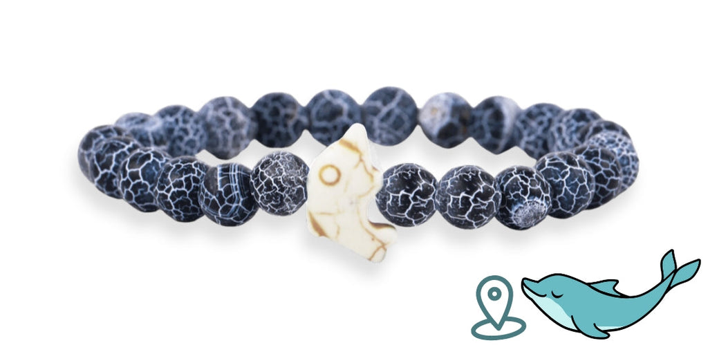 Bracelet de suivi dauphins