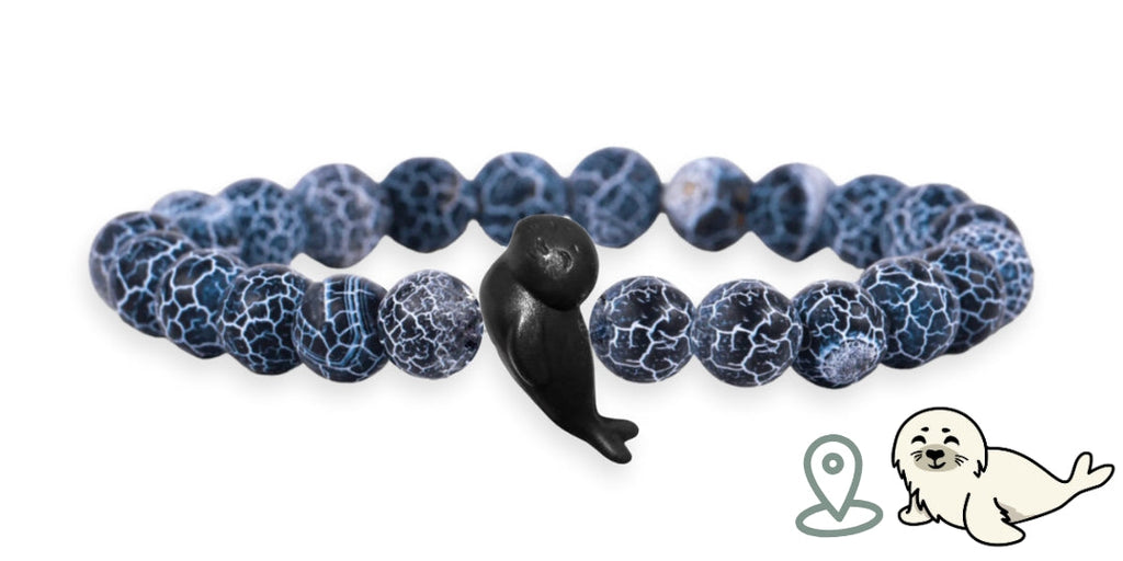 Bracelet Suivi Phoque