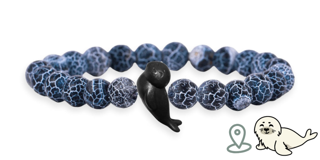 Bracelet Suivi Phoque