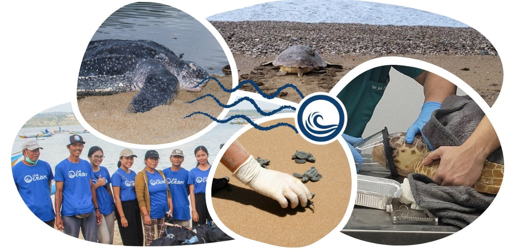 Bracelet de suivi tortue