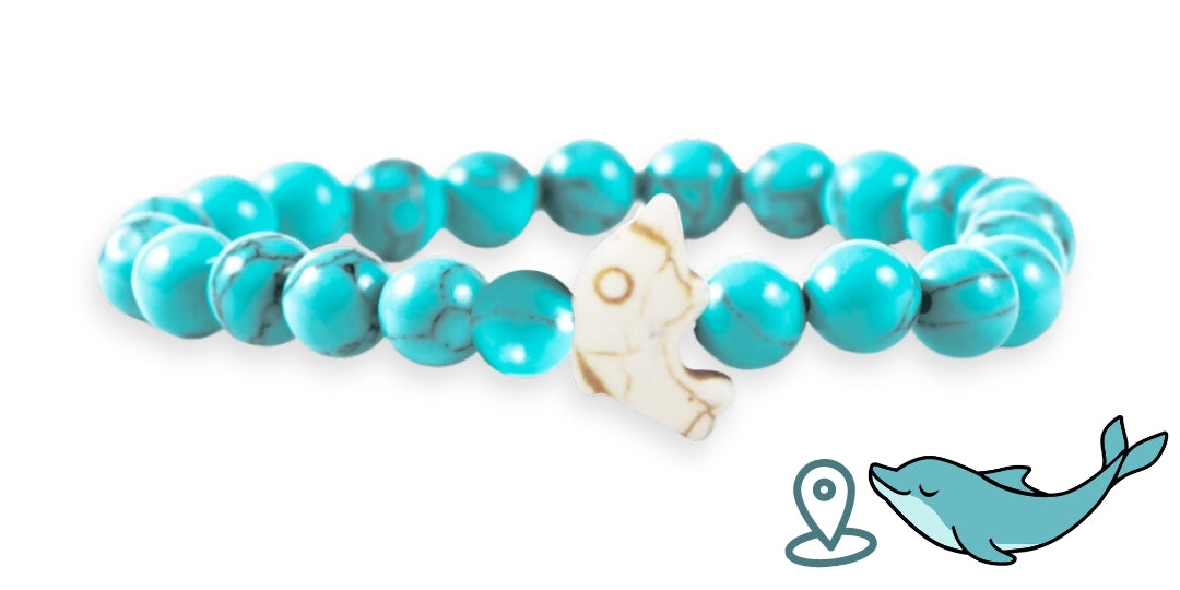 Bracelet de suivi dauphins