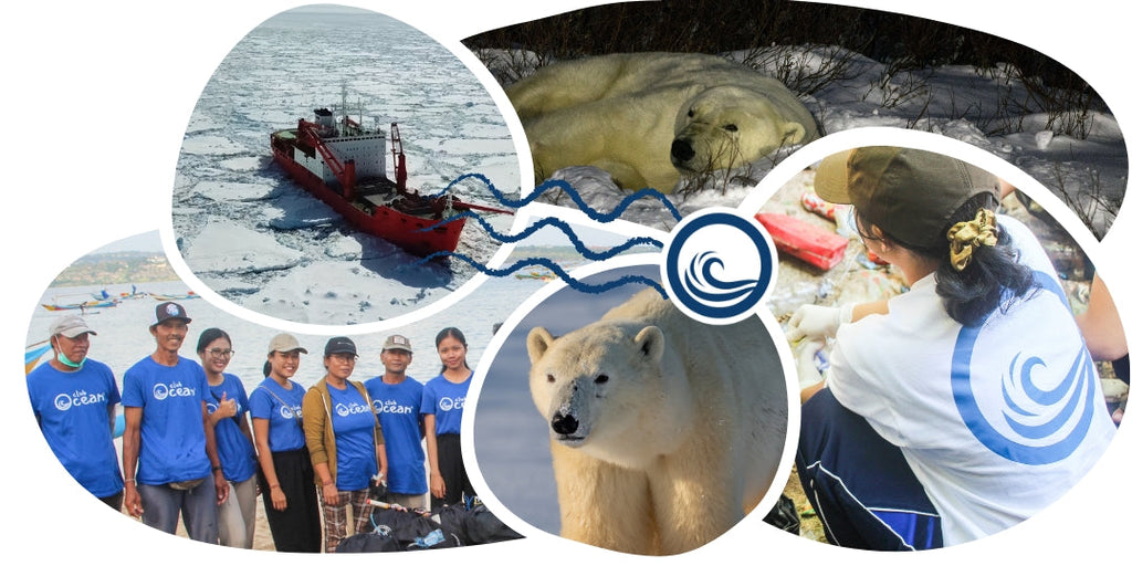 Bracelet de suivi our polaire