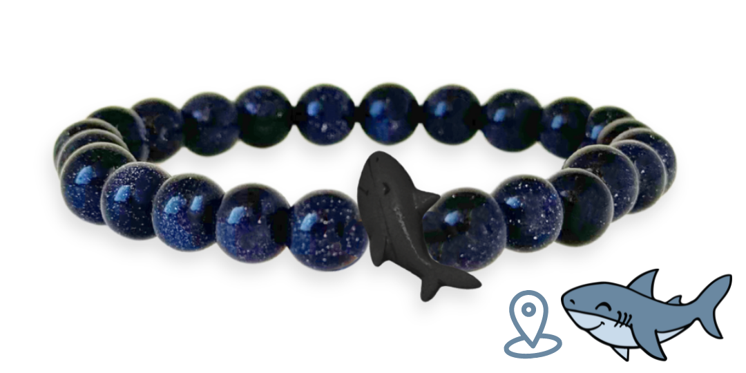 Bracelet de suivi requin