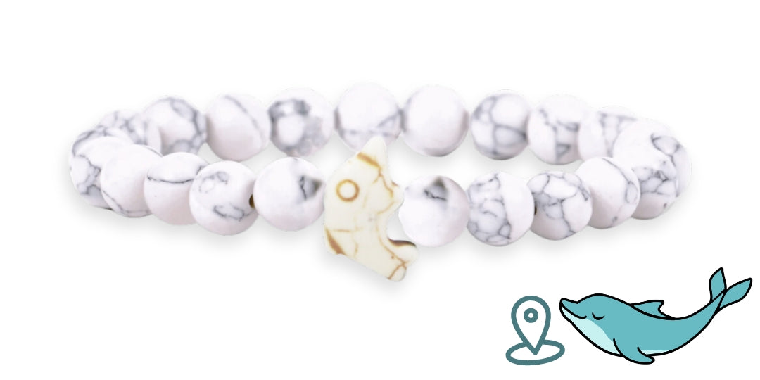 Bracelet de suivi dauphins
