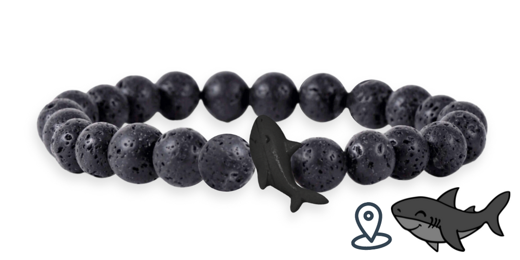 Bracelet de suivi requin