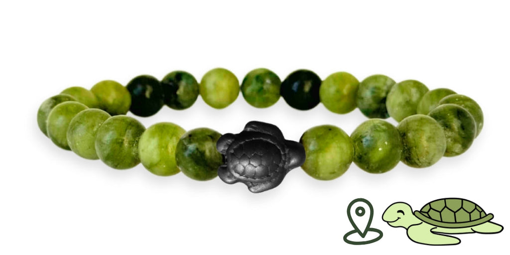 Bracelet de suivi tortue