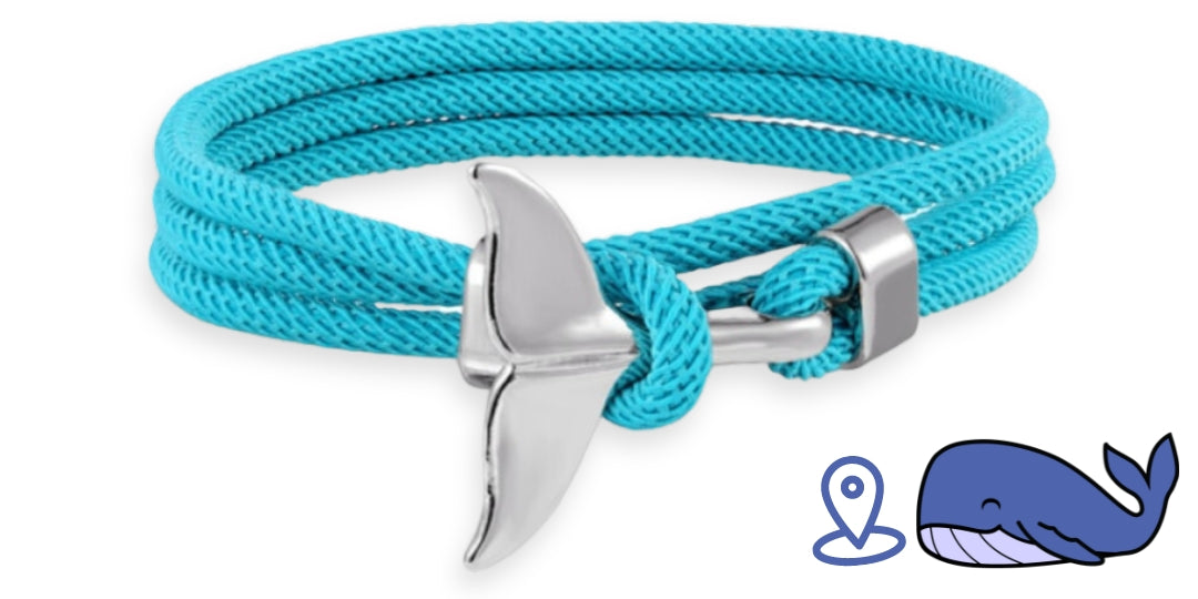Bracelet de suivi baleine