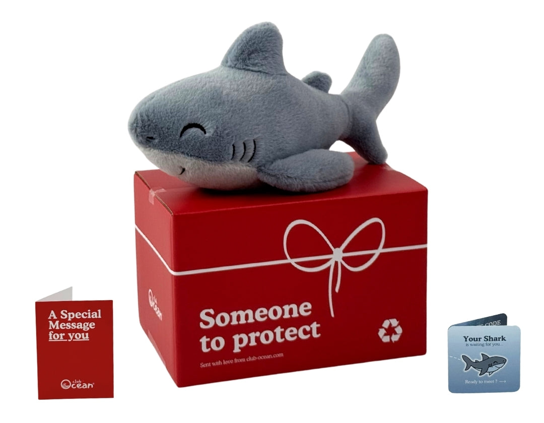 Shark Plushie