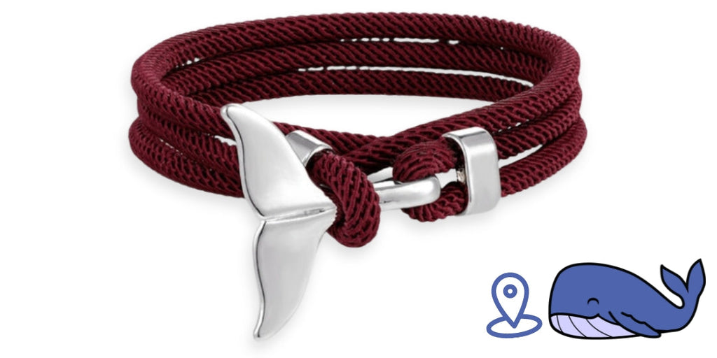 Bracelet de suivi baleine