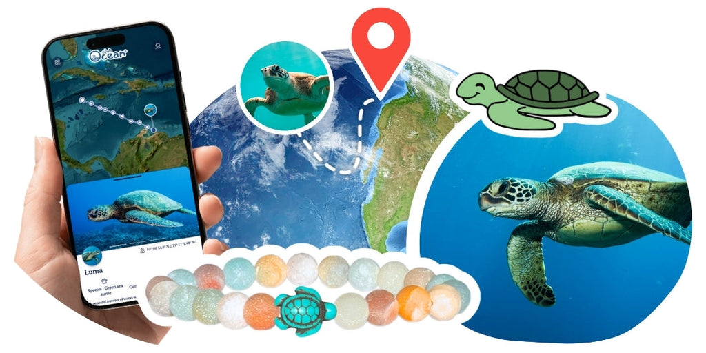 Bracelet de suivi tortue