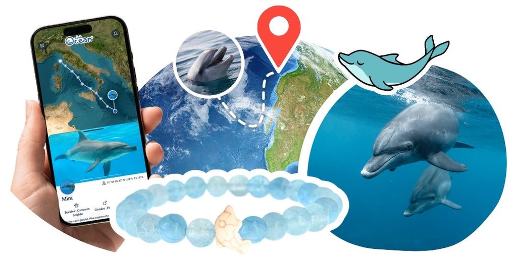 Bracelet de suivi dauphins