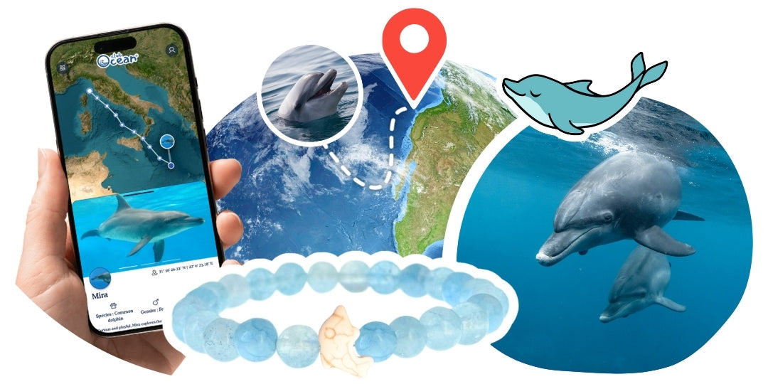 Bracelet de suivi dauphins