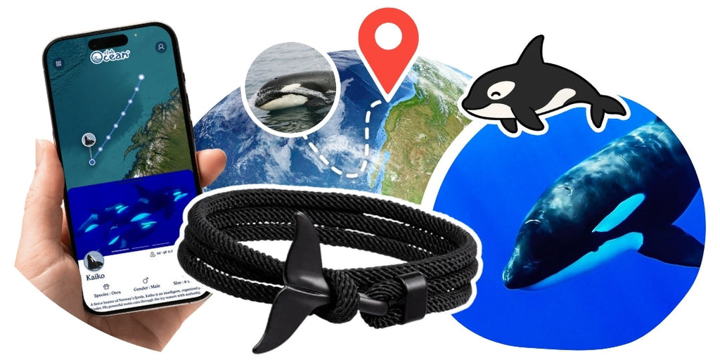 Bracelet Orque Suivi