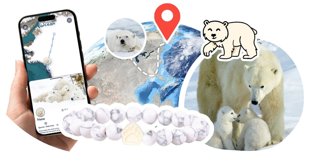 Bracelet de suivi our polaire