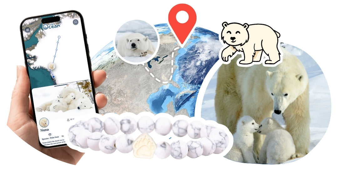 Bracelet de suivi our polaire