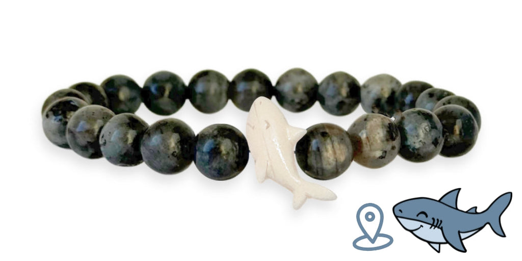 Bracelet de suivi requin