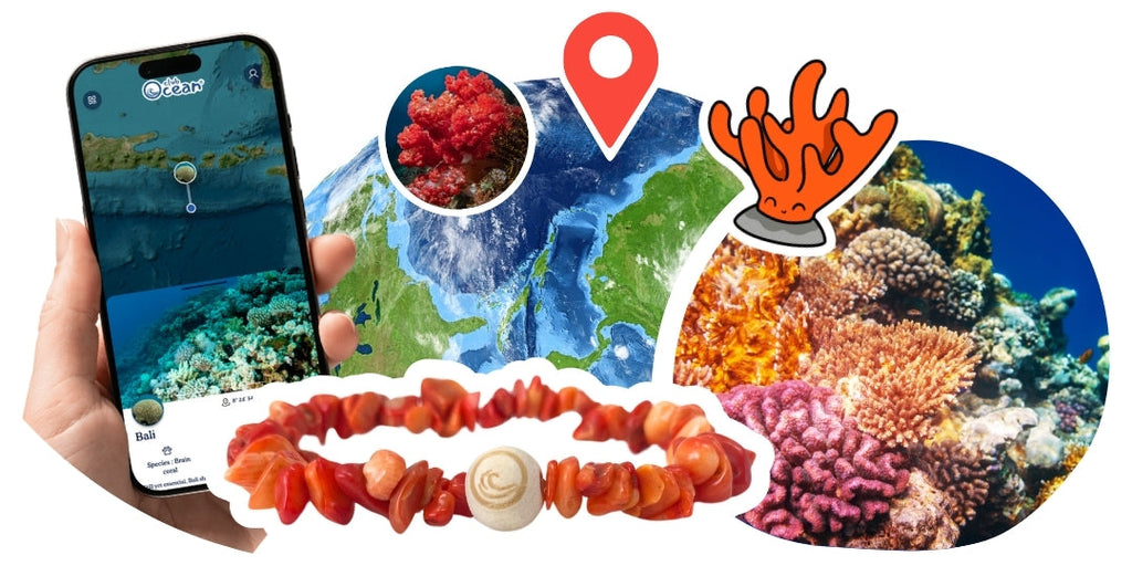 Bracelet de restauration corail