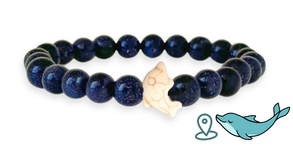 Bracelet de suivi dauphins