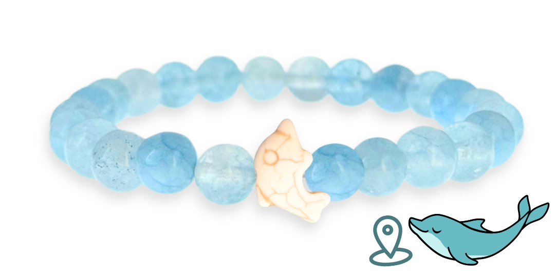 Bracelet de suivi dauphins