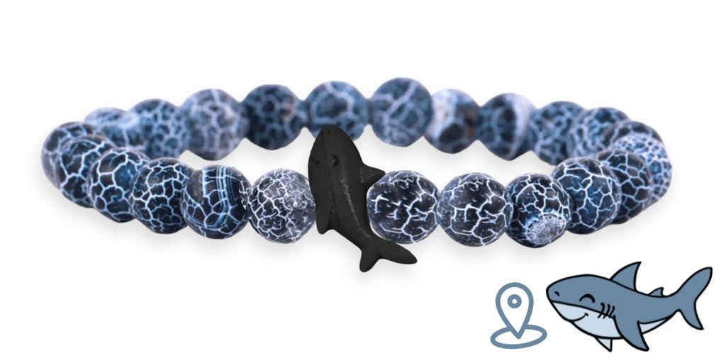 Bracelet de suivi requin