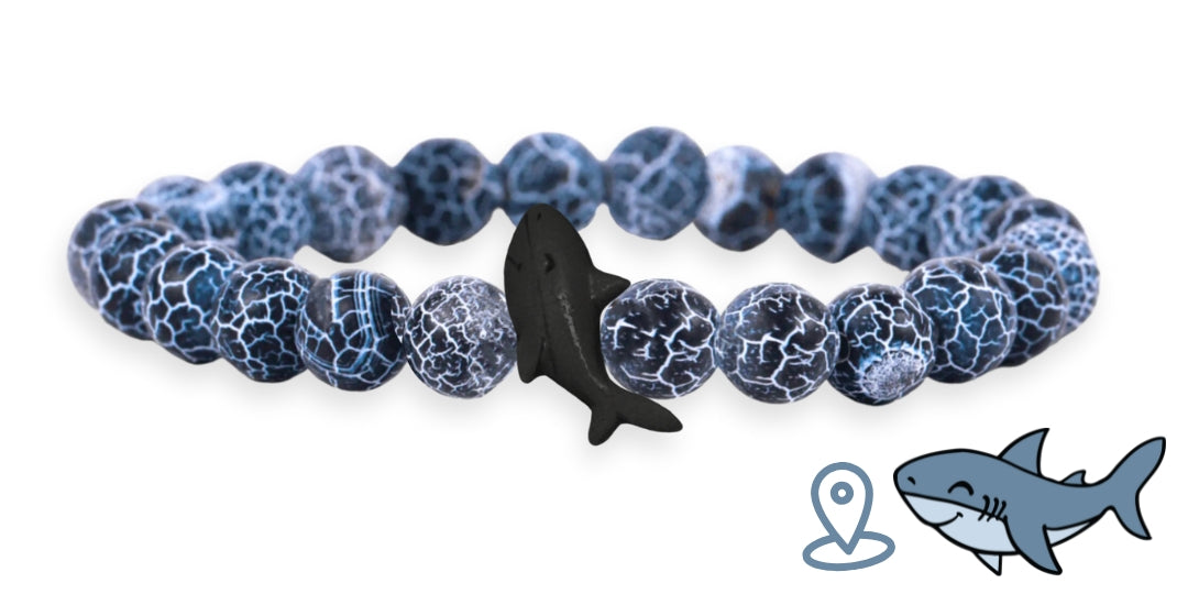 Bracelet de suivi requin