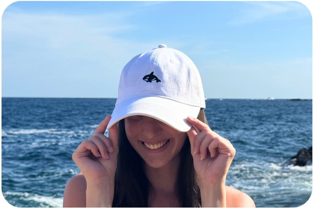 Casquette adoption requin