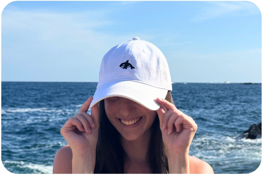 Casquette adoption requin