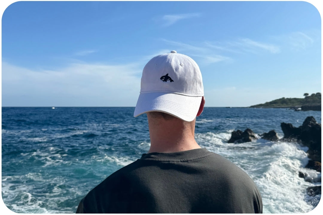 Casquette adoption requin