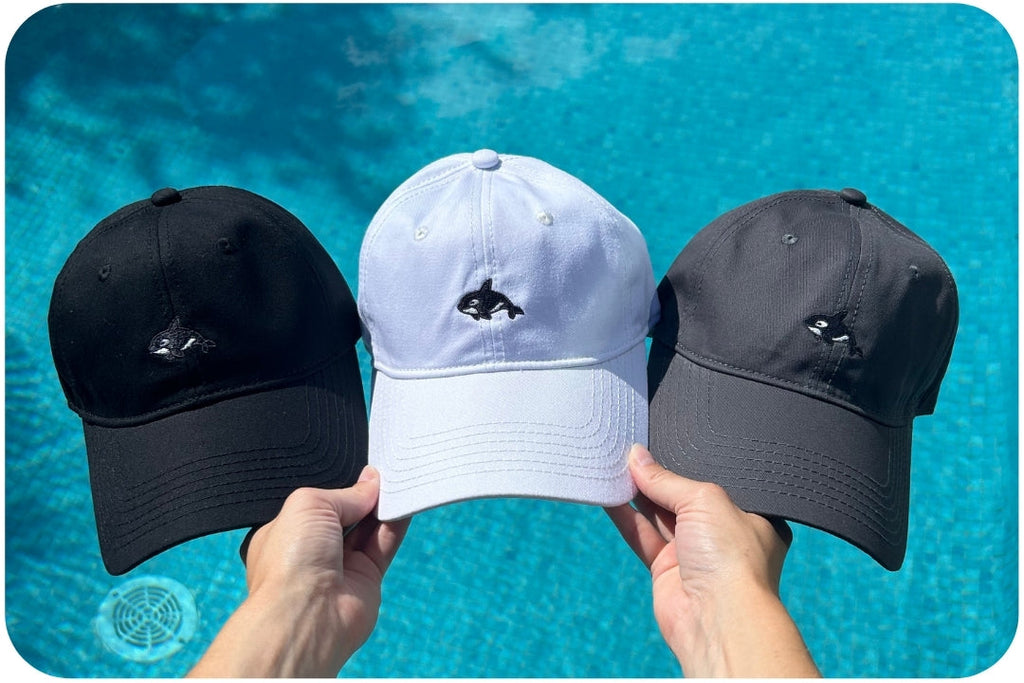 Casquette adoption requin